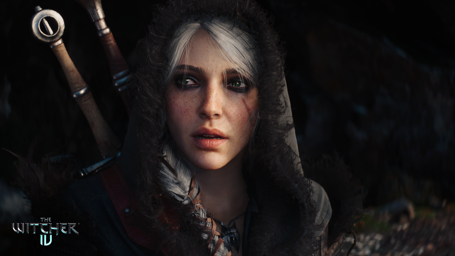 The Witcher IV